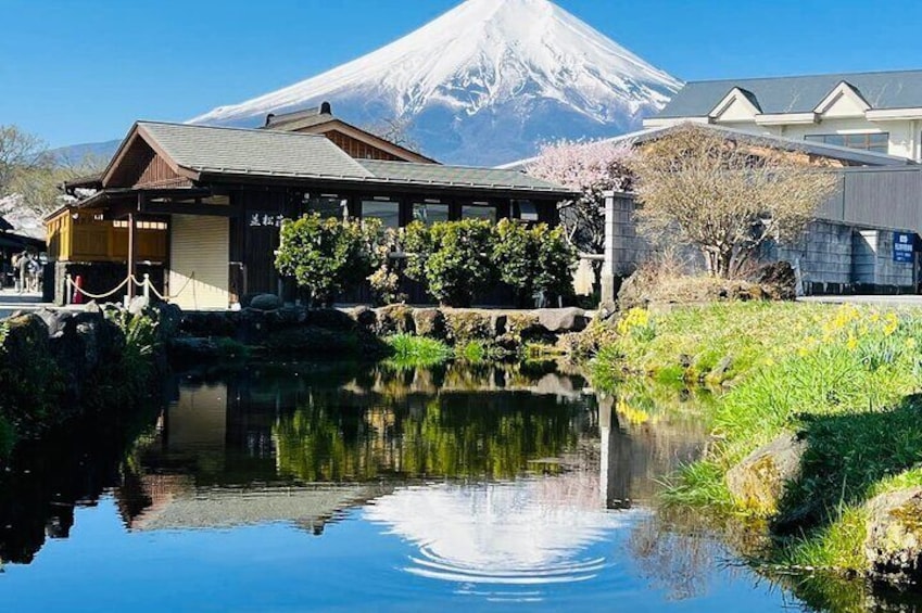 Private Sightseeing to Mt Fuji and Hakone with English Driver