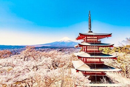 Private Sightseeing to Mt Fuji and Hakone with English Driver