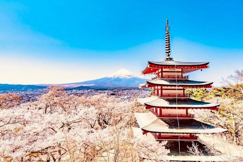 Private Sightseeing to Mt Fuji and Hakone with English Driver