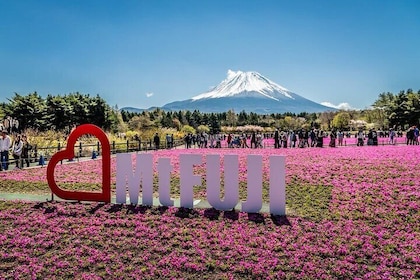 Private Sightseeing to Mt Fuji and Hakone with English Driver