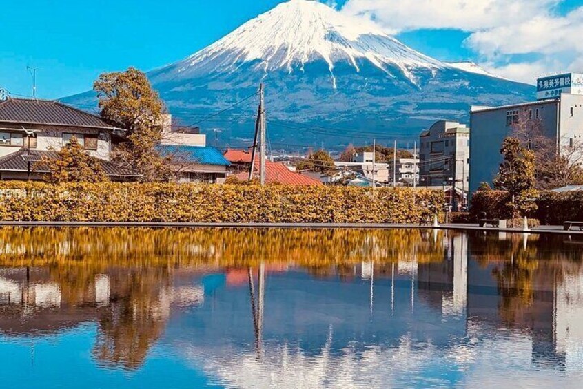 Private Sightseeing to Mt Fuji and Hakone with English Driver