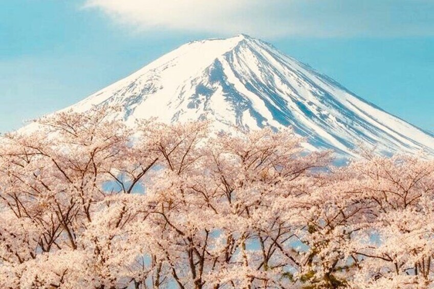 Private Sightseeing to Mt Fuji and Hakone with English Driver