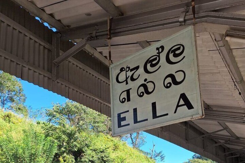  Hi .If you are interested to visit Nuwraveliya Eliya for a Day trip ,you have to start from Ella to Nanu oya train station. We meet you at the Nanu oya train station with your name at the exit .