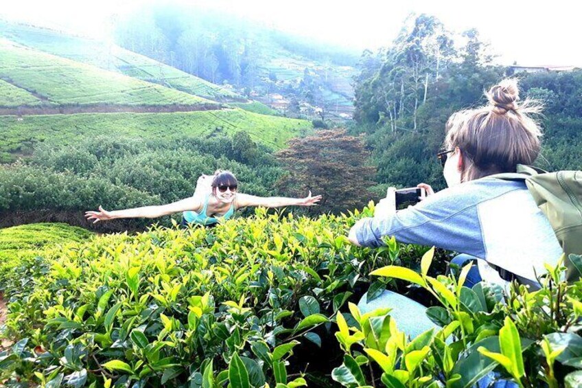 Tea plantation visit