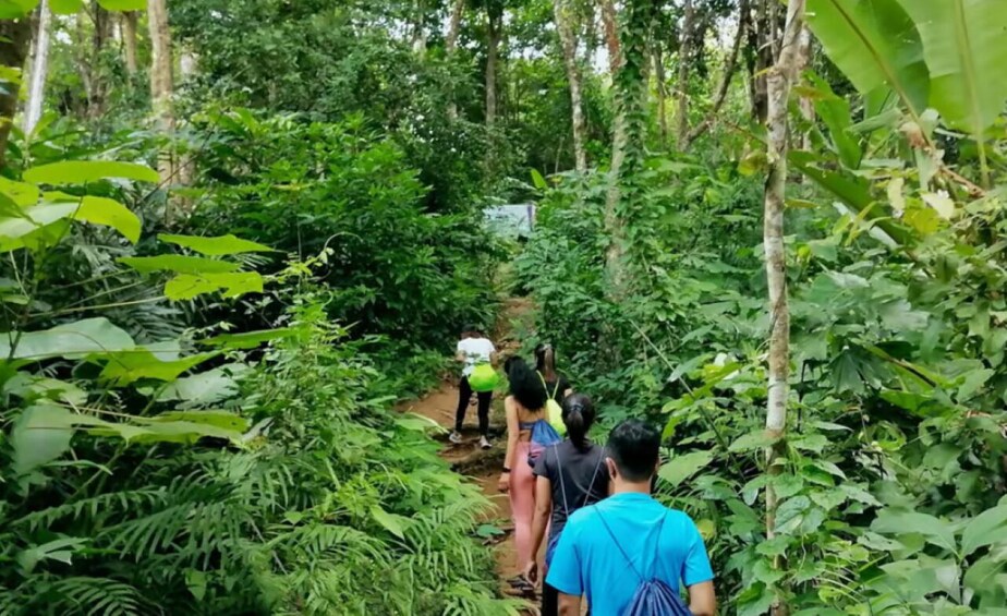 Early Morning Trek: Sunrise Hike & Secret Viewpoint in Phuket