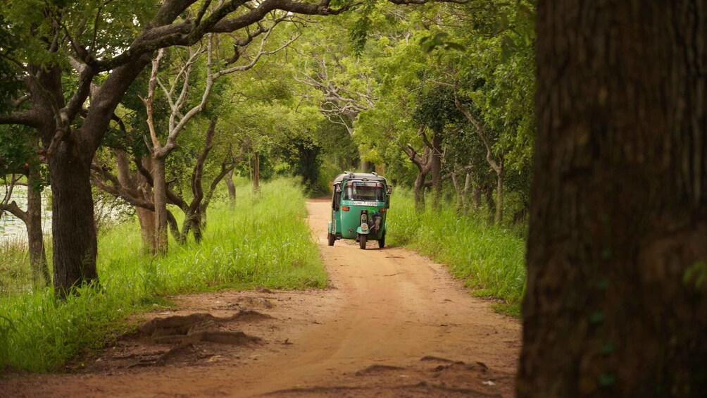 Picture 4 for Activity Non-Touristic Sigiriya on tuktuk