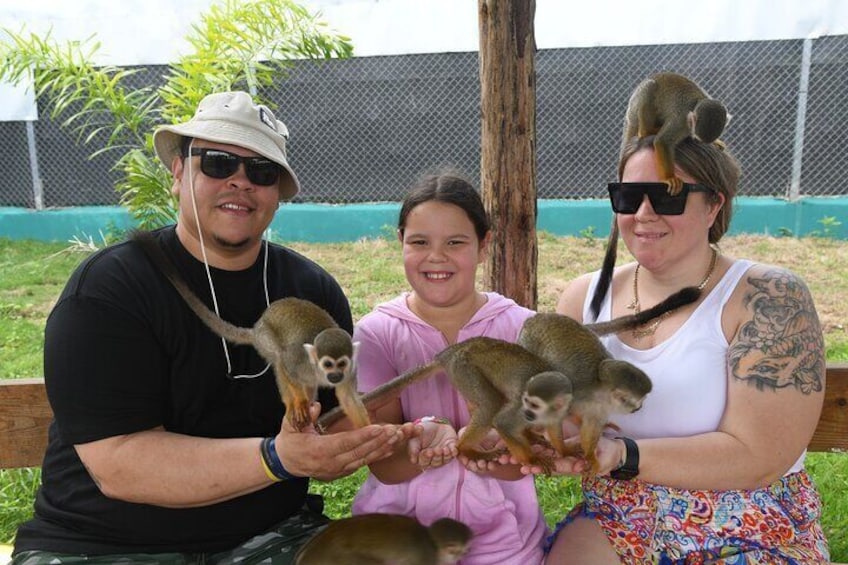 Monkey Home and Damajagua waterfalls.