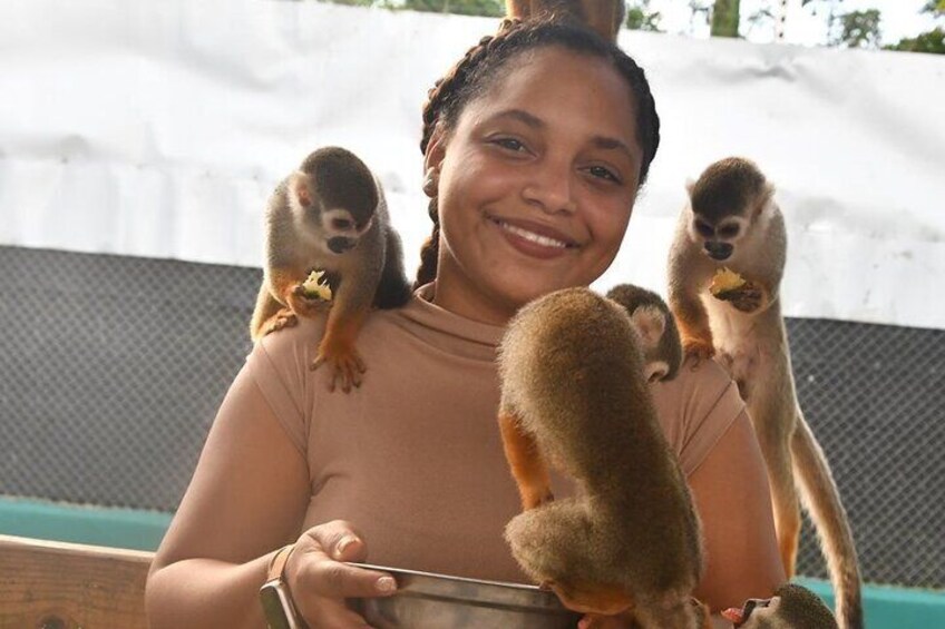 Monkey Home and Damajagua waterfalls.