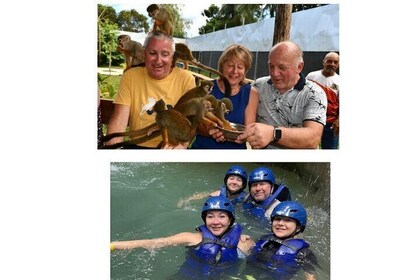 Monkey Tour Interaction and Damajagua waterfalls in Puerto Plata.