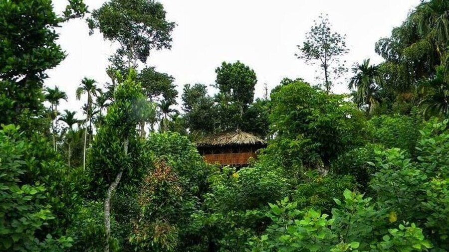 Wildlife Tour A Journey Through Sanctuaries