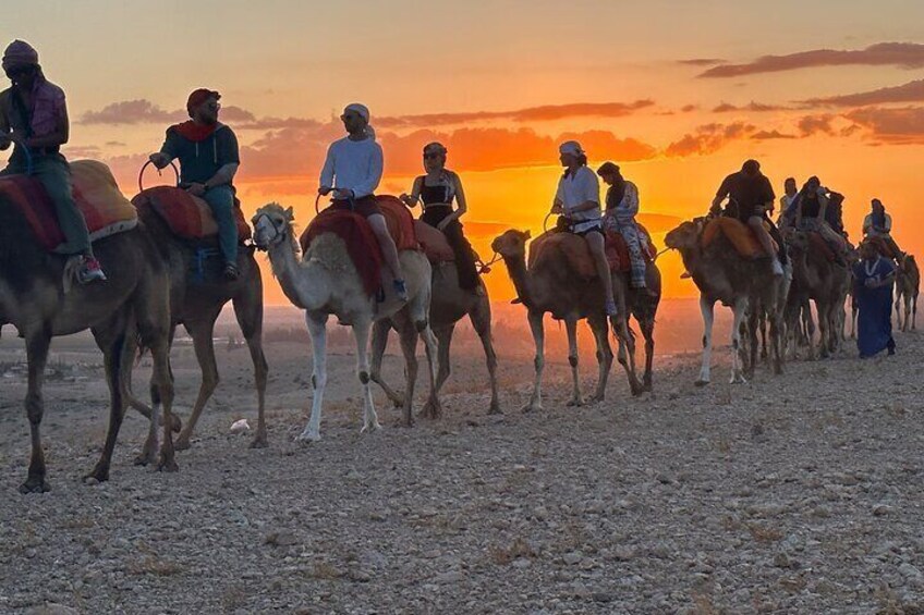 Agafay Desert, Quad, Camel, Pool and Dinner Show From Marrakech