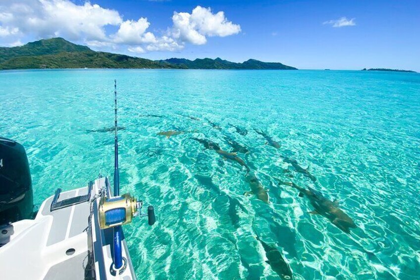 Catch & Cook Adventures - Raiatea and Taha'a Lagoon Guided Boat Tour