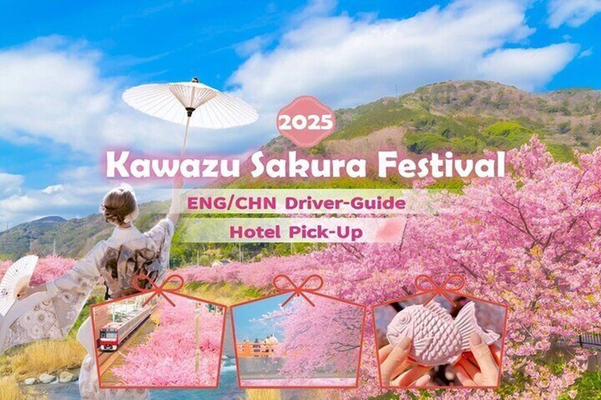 Tokyo Kawazu Sakura Festival with Scenic Train and Pick up