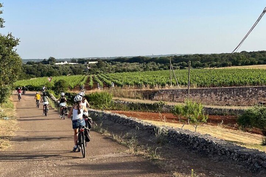 Alberobello E-Bike tour to Locorotondo with Ice cream