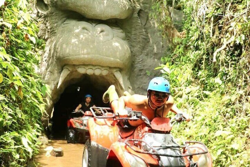  Ubud Bali Atv Ride Waterfall,Rice field,River,Art Cave with Pool