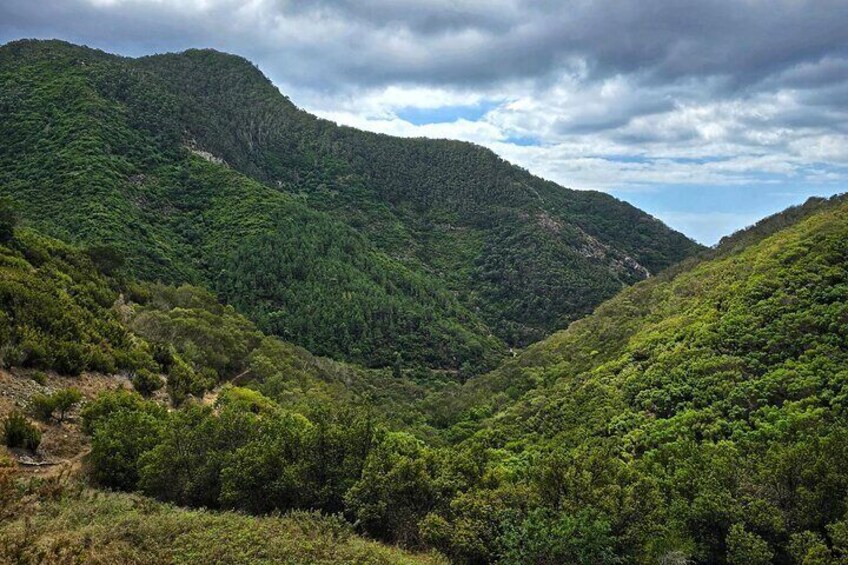 Larano to Caniçal Coastal Hike