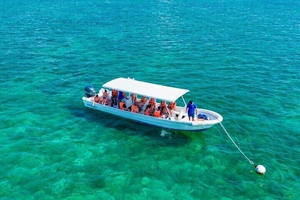 Private Tour Reef National Park Puerto Morelos Lunch