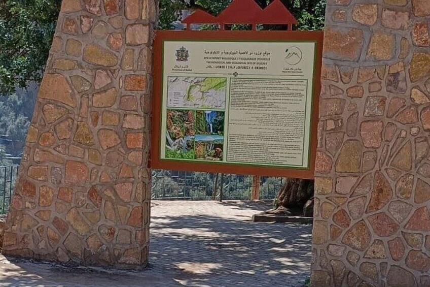 Day Tour Excursion To Ouzoud