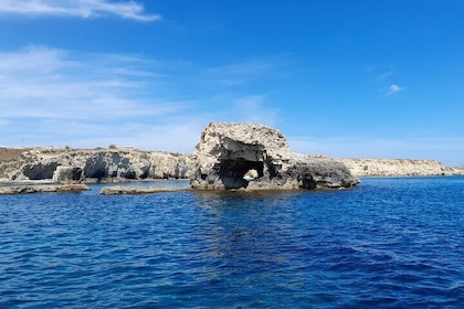 Tour of Ortigia Island and the sea caves