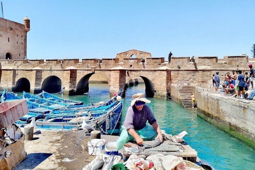 Essaouira Day Trip: Explore Coastal Beauty from Marrakech