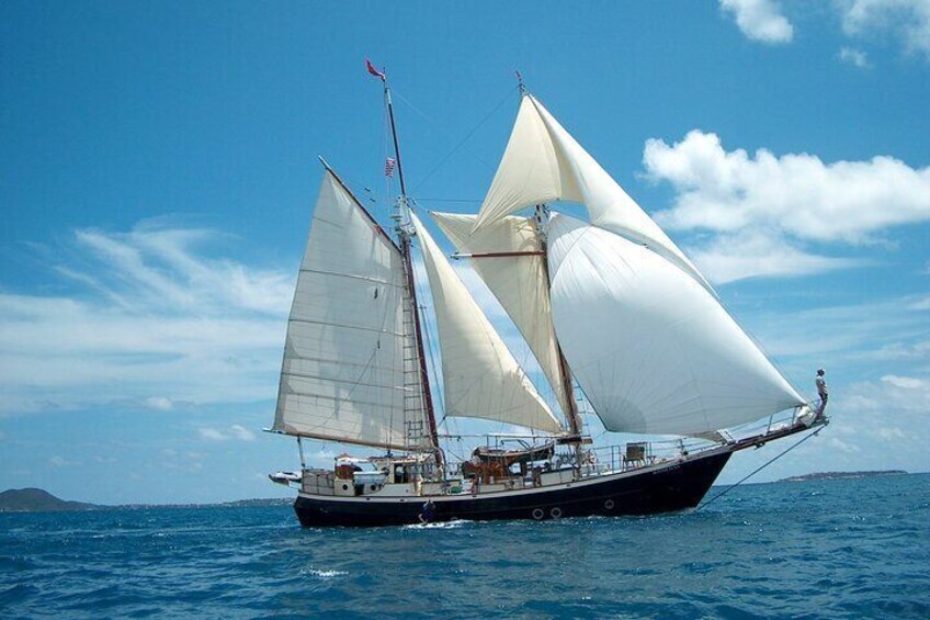 Come sail with us!