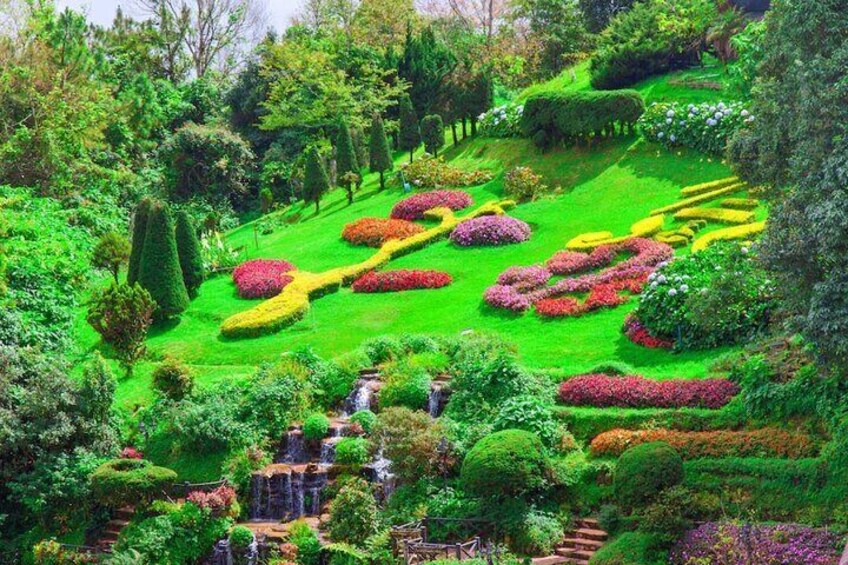 Doi Inthanon National Park Trek: Pha Dok Seaw| from Chiang Mai
