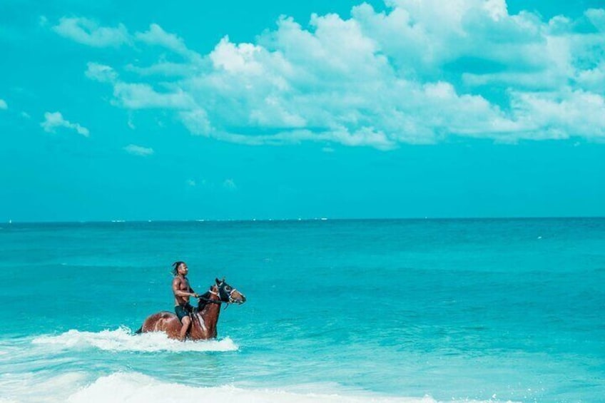 2 hours Seashore and Desert Horseback Riding