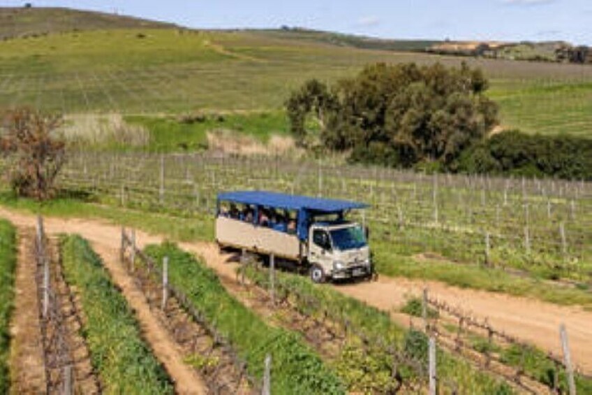 Durbanville Wine Valley Group Tour with Transfer