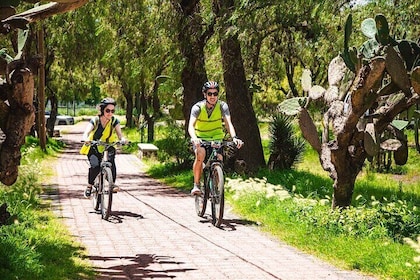 Bike Tour Teotihuacan History and Culture and Pulque Tasting