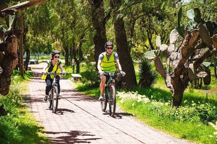 Bike Tour Teotihuacan History and Culture and Pulque Tasting