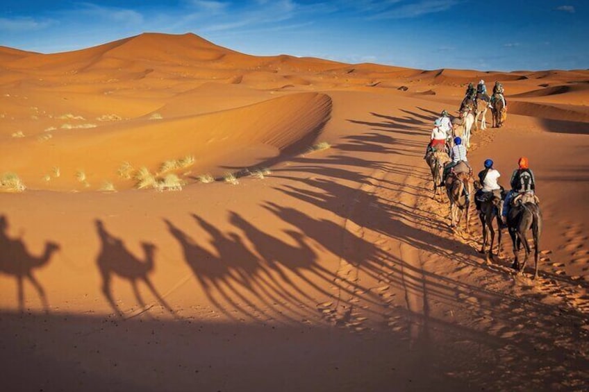 Dubai Desert Safari with Live BBQ and Dune Bashing