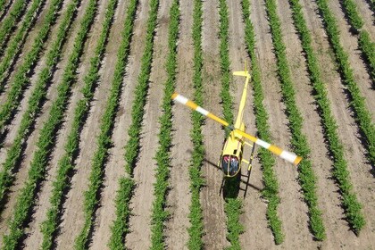 4-Minute Flight Over Picturesque Hoffnungsthal Valley