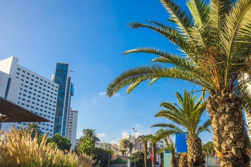 Full Day Casablanca Rabat City Tour with Hassan II Mosque Ticket