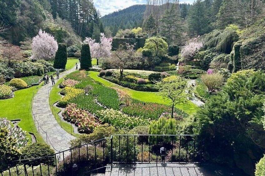 The Butchart Gardens 