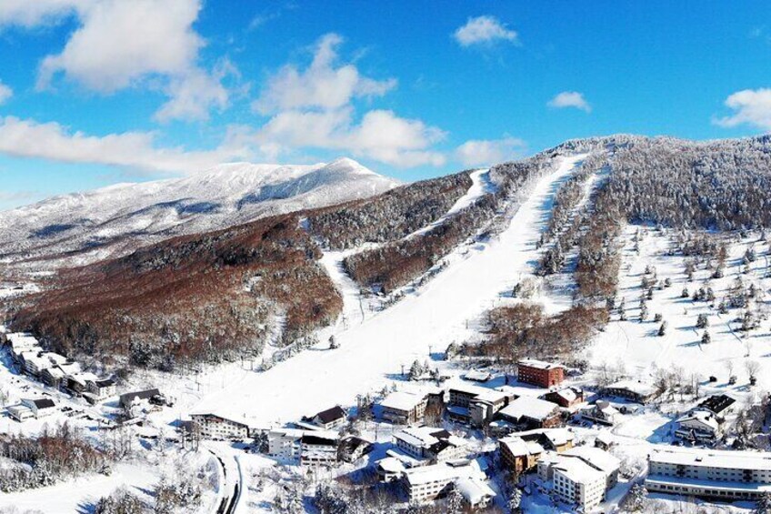 1 Day Ski Tour Package Easy Departure from Nagano Station