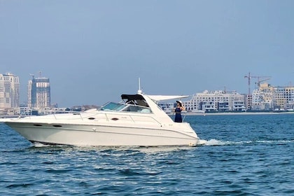 2 hours Private Guided Boat Tour in Doha