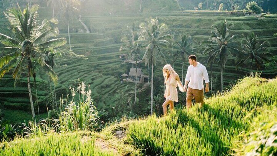 Bali Tour - All Inclusive Ubud Private Day Tour