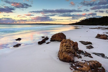 Jervis Bay Gems Daily Tour