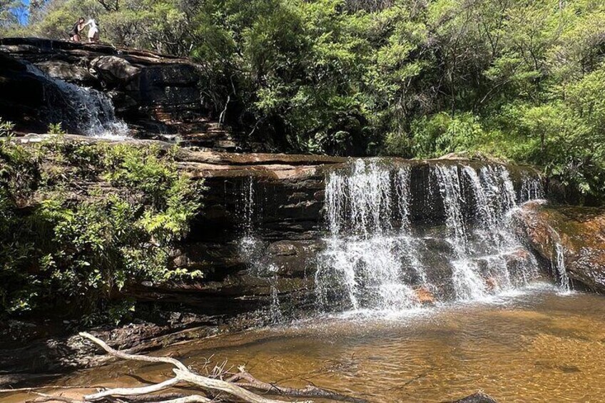 Blue Mountains Private Gems Tours Hike - Pick up & Drop off