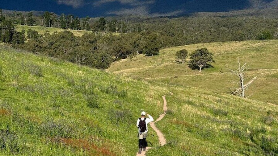 Blue Mountains Private Hike Tour - Pick up & Drop off