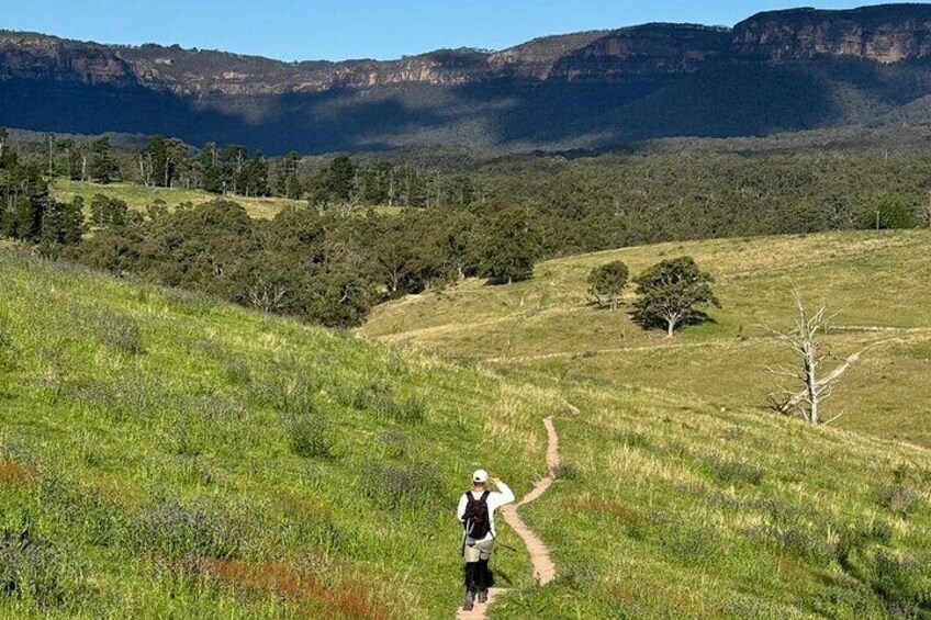 Blue Mountains Private Hike Tour - Pick up & Drop off