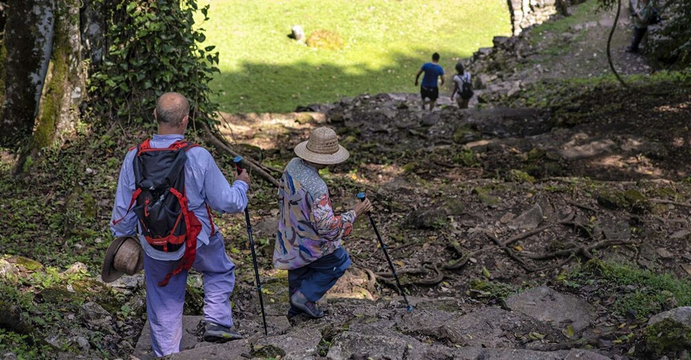 Picture 2 for Activity From Palenque: Bonampak & Yaxchilán