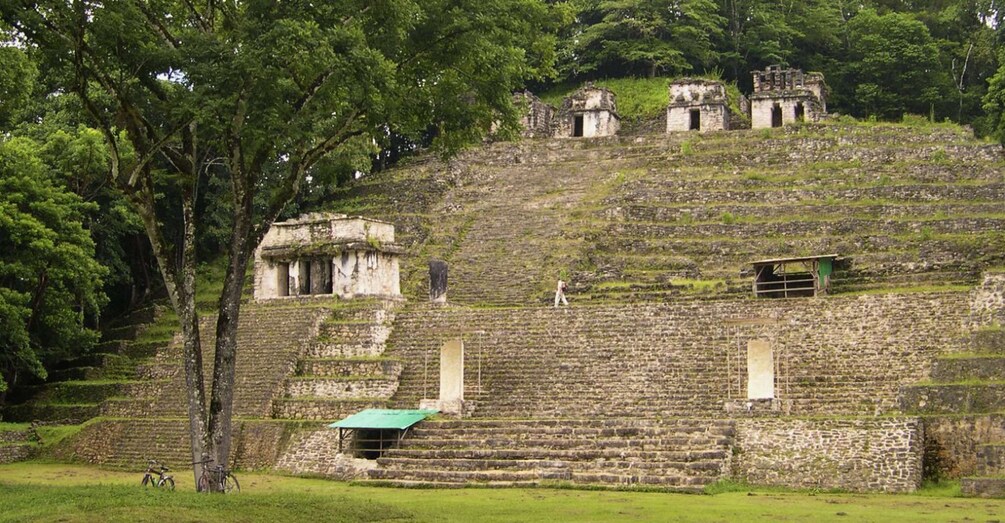 Picture 3 for Activity From Palenque: Bonampak & Yaxchilán