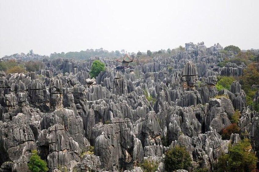 8 Days Classic Tour of Yunnan
