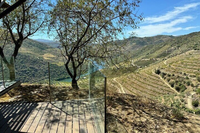 Private Douro Valley Exclusive Wine Tasting Tour 