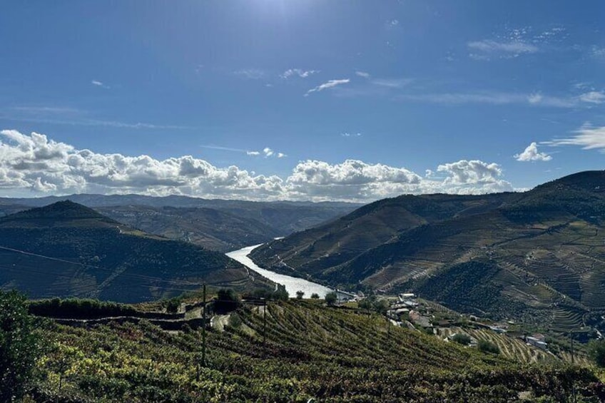 Private Douro Valley Exclusive Wine Tasting Tour 