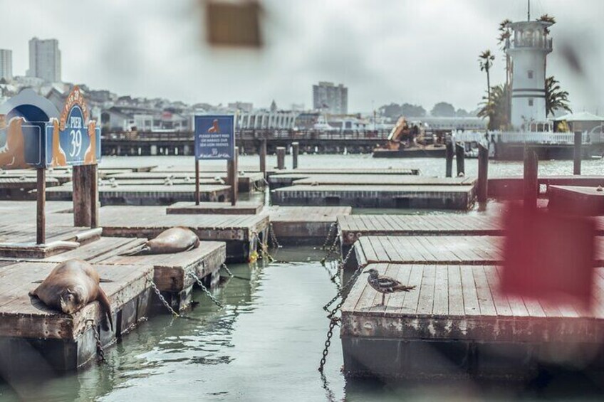 San Francisco Uncovered Self-Guided Adventure