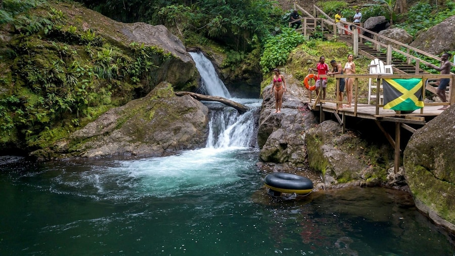 Coffee farm hike through Jamaica’s Blue Mountains with brunch