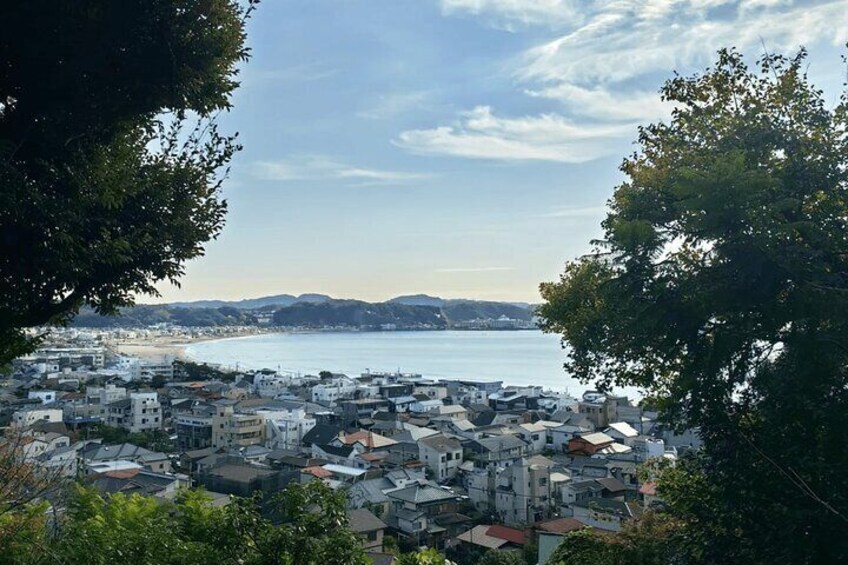 Tokyo Enoshima and Kamakura Coastal Escape Private Car Tour