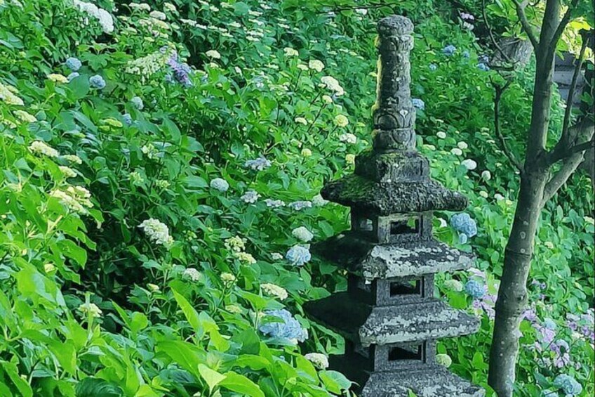 Tokyo Enoshima and Kamakura Coastal Escape Private Car Tour